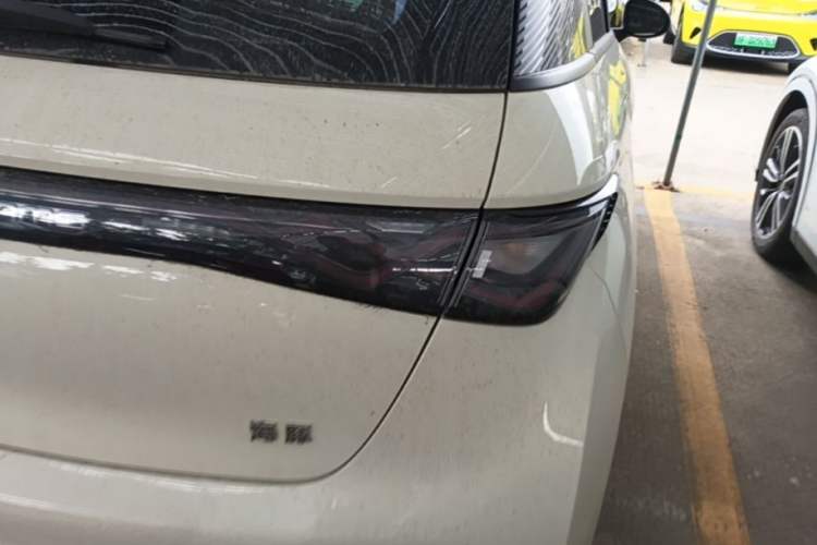 Used BYD Dolphin 2025 420km Free Edition Right Rear Taillight