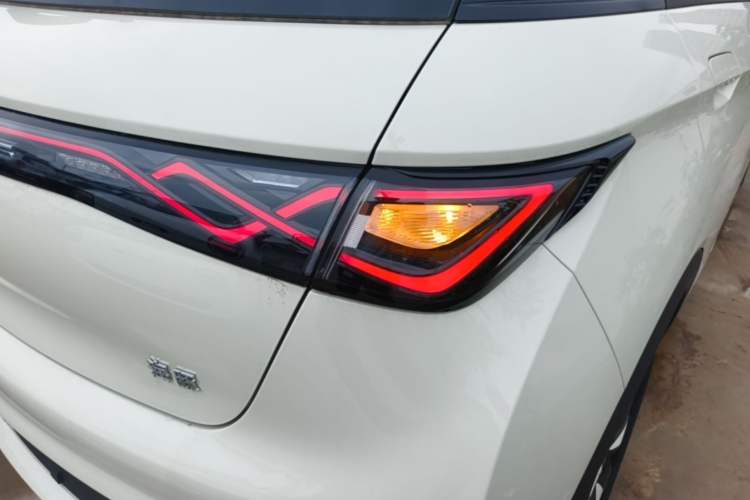 Used BYD Dolphin 2025 420km Free Edition Right Rear Taillight