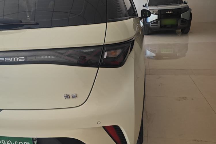Used BYD Dolphin 2025 420km Free Edition Right Rear Taillight