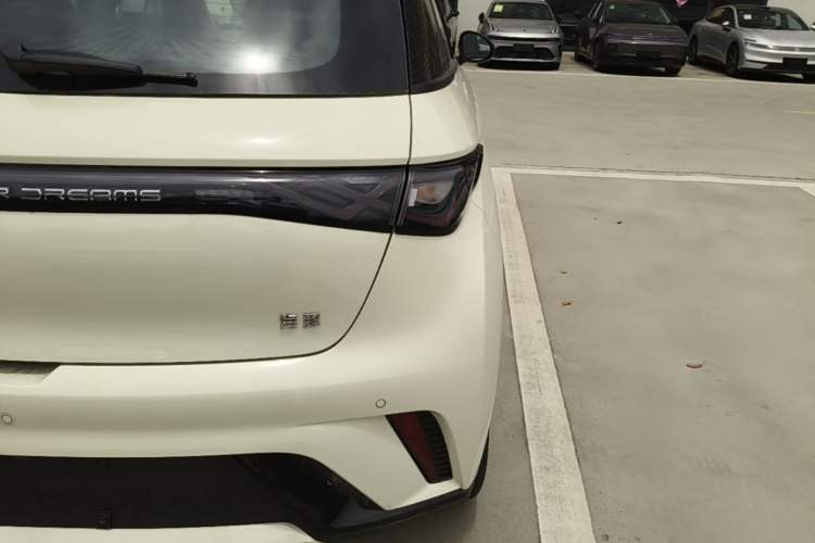 Used BYD Dolphin 2025 420km Free Edition Right Rear Taillight
