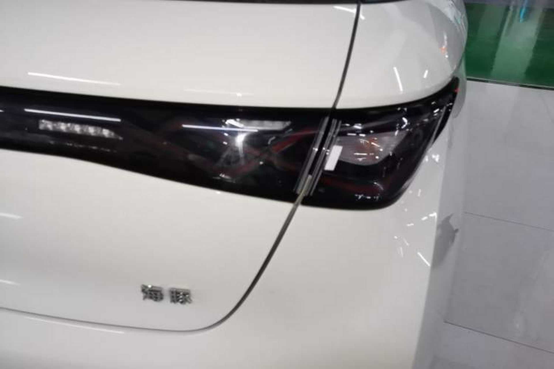 Used BYD Dolphin 2025 420km Free Edition Right Rear Taillight