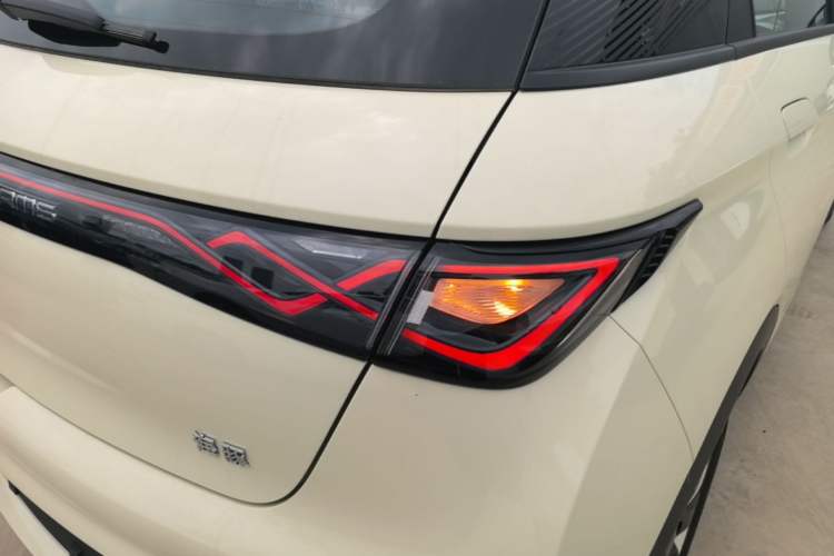 Used BYD Dolphin 2025 420km Free Edition Right Rear Taillight