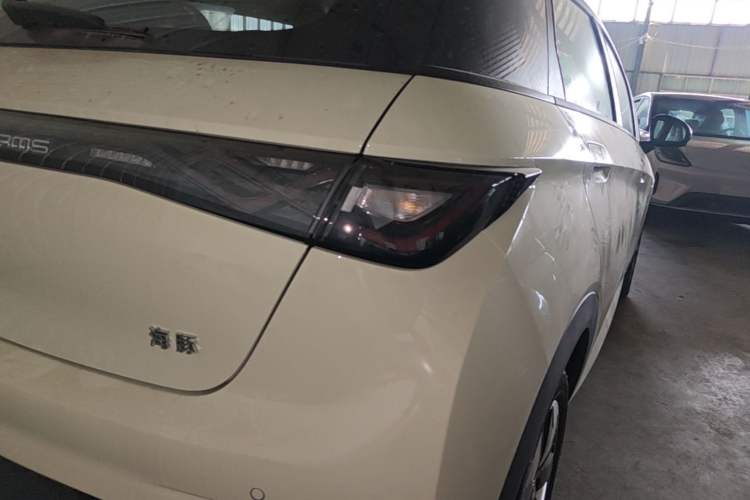Used BYD Dolphin 2025 420km Free Edition Right Rear Taillight