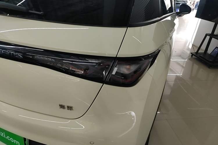 Used BYD Dolphin 2025 420km Free Edition Right Rear Taillight