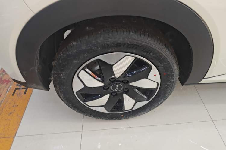 Used BYD Dolphin 2025 420km Free Edition Right Rear Wheel Hub
