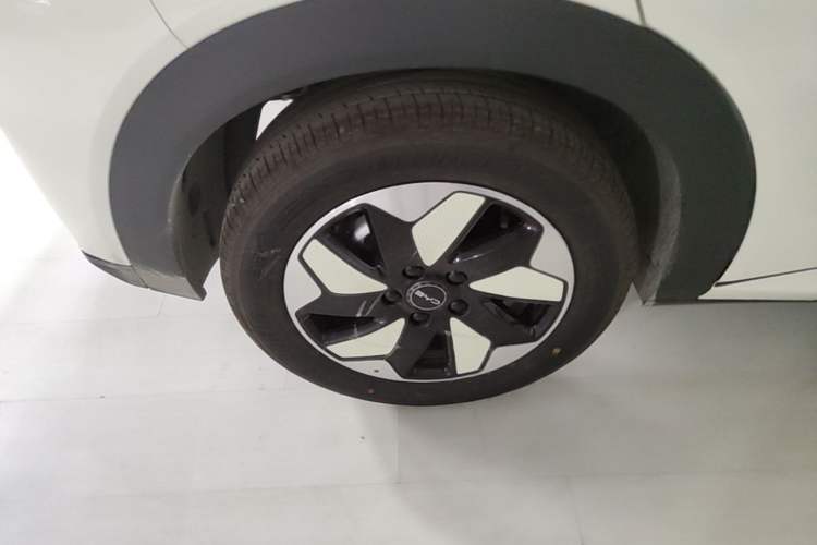 Used BYD Dolphin 2025 420km Free Edition Right Rear Wheel Hub