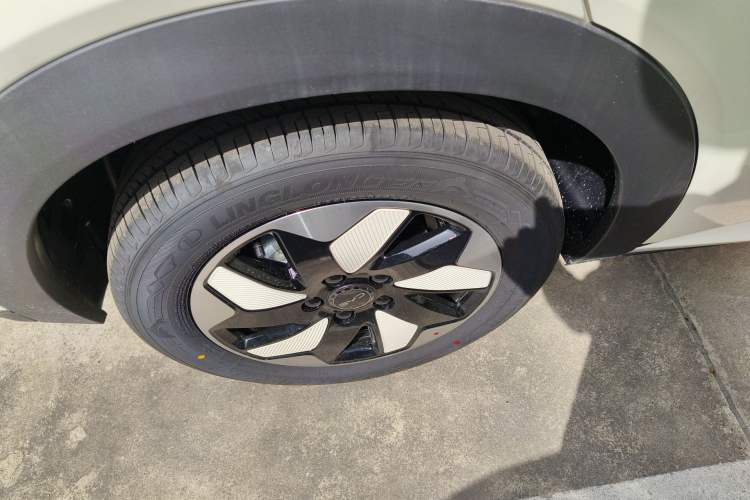 Used BYD Dolphin 2025 420km Free Edition Right Rear Wheel Hub