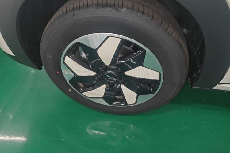 Used BYD Dolphin 2025 420km Free Edition Right Rear Wheel Hub