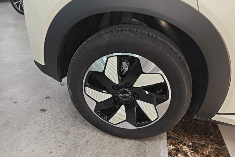 Used BYD Dolphin 2025 420km Fashion Edition Right Rear Wheel Hub