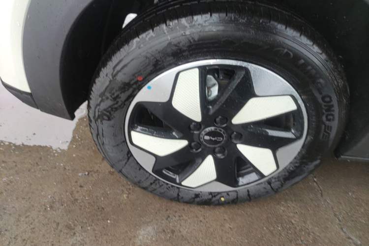 Used BYD Dolphin 2025 420km Free Edition Right Rear Wheel Hub
