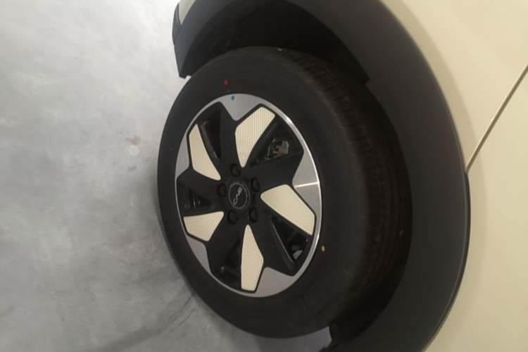 Used BYD Dolphin 2025 420km Free Edition Right Rear Wheel Hub