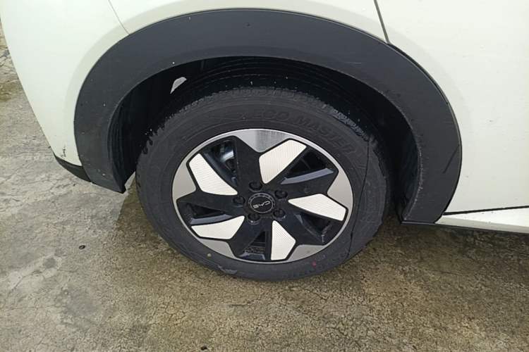 Used BYD Dolphin 2025 520km Range Knight Edition Right Rear Wheel Hub