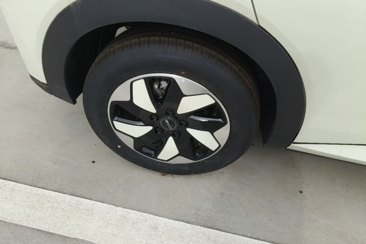 Used BYD Dolphin 2025 420km Free Edition Right Rear Wheel Hub