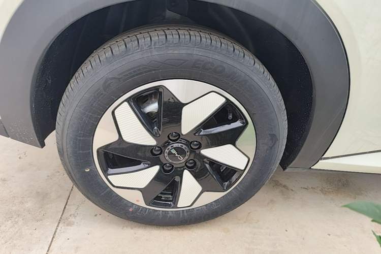 Used BYD Dolphin 2025 420km Free Edition Right Rear Wheel Hub
