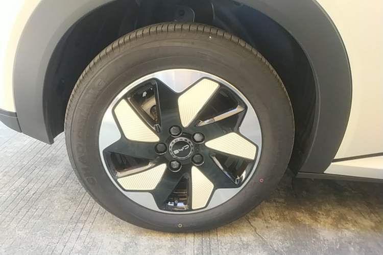 Used BYD Dolphin 2025 420km Fashion Edition Right Rear Wheel Hub