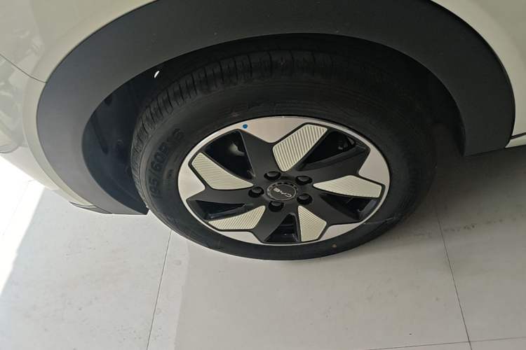 Used BYD Dolphin 2025 420km Free Edition Right Rear Wheel Hub