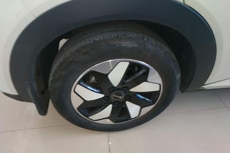 Used BYD Dolphin 2025 420km Free Edition Right Rear Wheel Hub