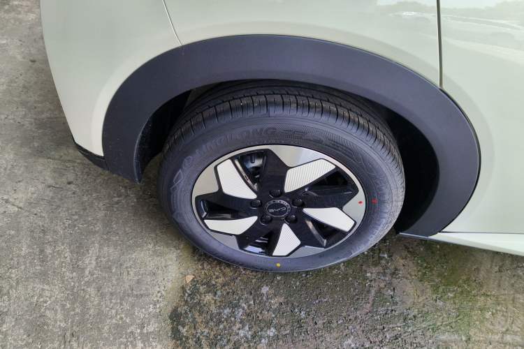 Used BYD Dolphin 2025 420km Free Edition Right Rear Wheel Hub