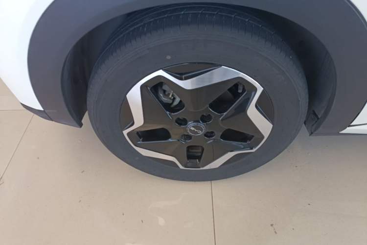 Used BYD Dolphin 2025 420km Active Version Right Rear Wheel Hub