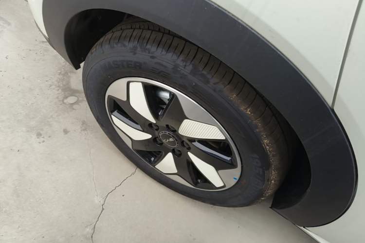 Used BYD Dolphin 2025 420km Free Edition Right Rear Wheel Hub