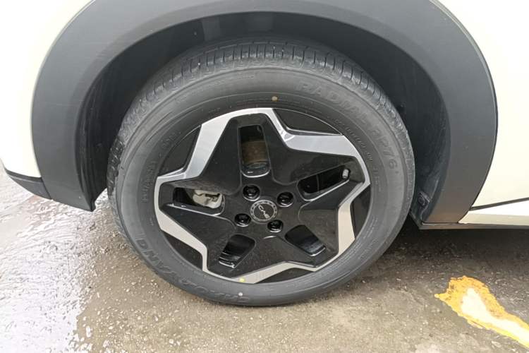 Used BYD Dolphin 2025 420km Active Version Right Rear Wheel Hub