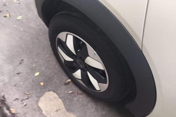 Used BYD Dolphin 2025 420km Free Edition Right Rear Wheel Hub