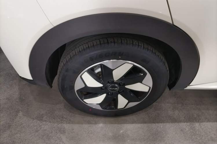 Used BYD Dolphin 2025 420km Free Edition Right Rear Wheel Hub