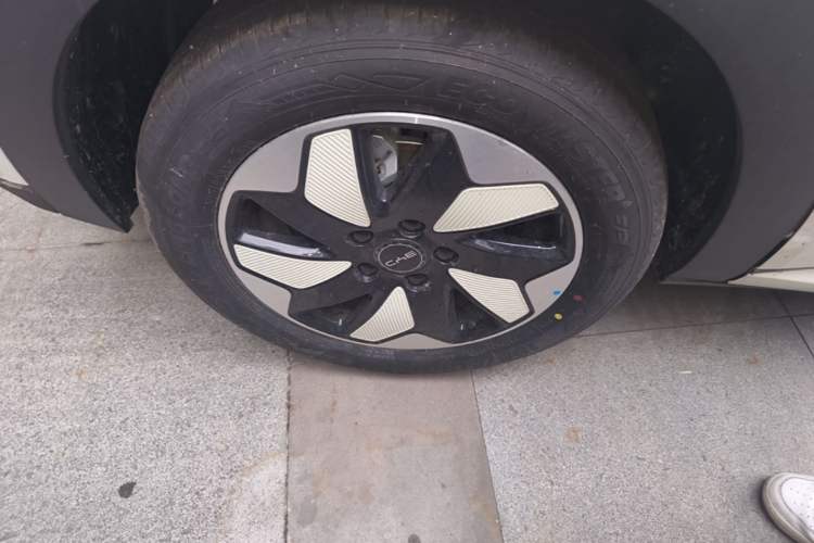 Used BYD Dolphin 2025 420km Free Edition Right Rear Wheel Hub
