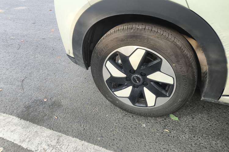 Used BYD Dolphin 2025 420km Free Edition Right Rear Wheel Hub