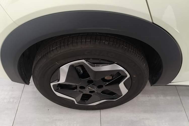 Used BYD Dolphin 2025 Smart Drive Version 420 km Freedom Edition Right Rear Wheel Hub