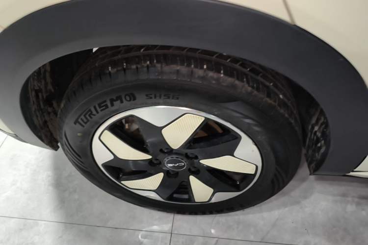 Used BYD Dolphin 2025 420km Free Edition Right Rear Wheel Hub