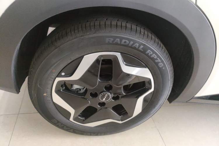 Used BYD Dolphin 2025 Smart Drive Version 420 km Freedom Edition Right Rear Wheel Hub