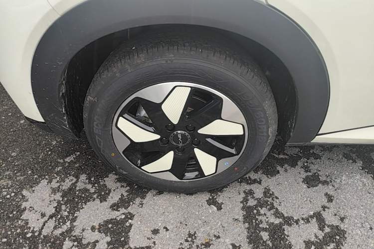 Used BYD Dolphin 2025 420km Free Edition Right Rear Wheel Hub