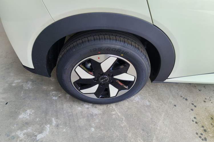 Used BYD Dolphin 2025 420km Free Edition Right Rear Wheel Hub
