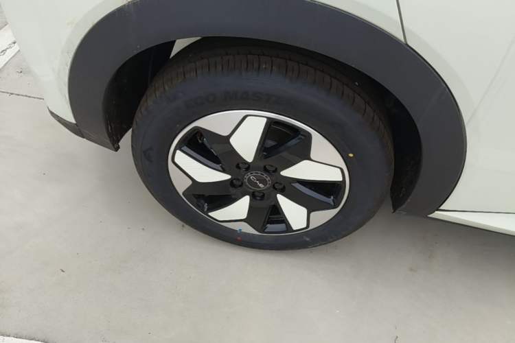 Used BYD Dolphin 2025 420km Free Edition Right Rear Wheel Hub