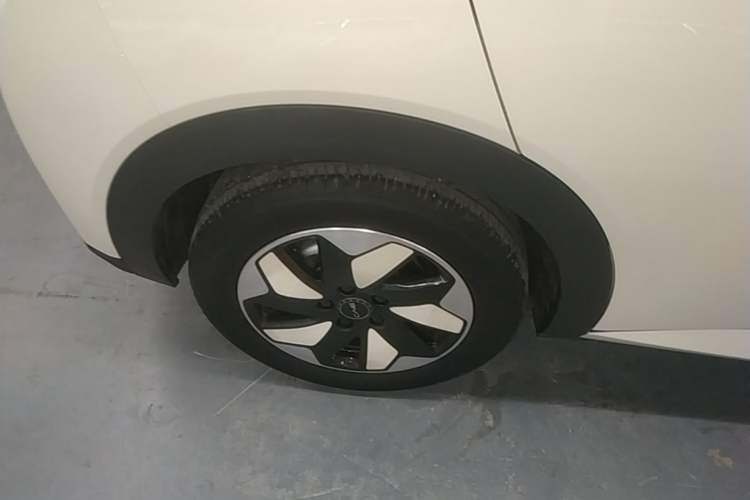 Used BYD Dolphin 2025 420km Free Edition Right Rear Wheel Hub