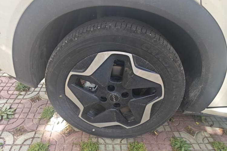 Used BYD Dolphin 2025 Smart Drive Version 420 km Freedom Edition Right Rear Wheel Hub