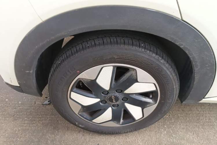 Used BYD Dolphin 2025 420km Free Edition Right Rear Wheel Hub
