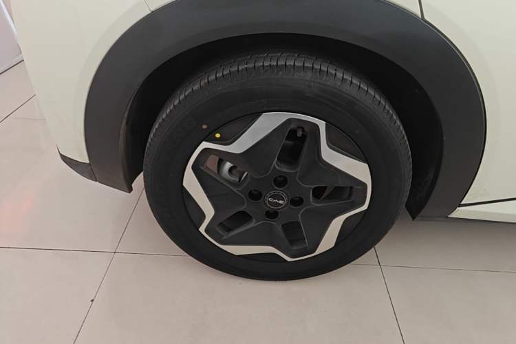 Used BYD Dolphin 2025 420km Active Version Right Rear Wheel Hub