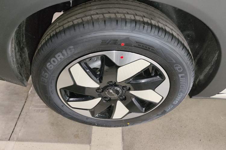 Used BYD Dolphin 2025 420km Free Edition Right Rear Wheel Hub