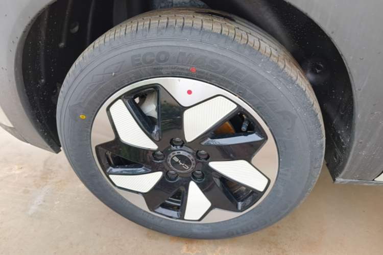 Used BYD Dolphin 2025 420km Free Edition Right Rear Wheel Hub