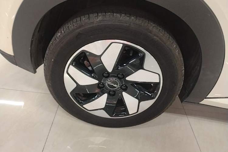 Used BYD Dolphin 2025 420km Free Edition Right Rear Wheel Hub