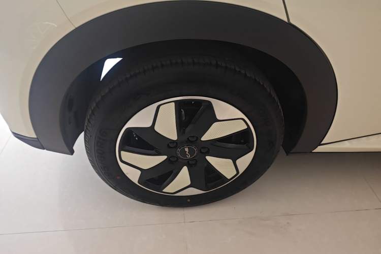 Used BYD Dolphin 2025 420km Free Edition Right Rear Wheel Hub