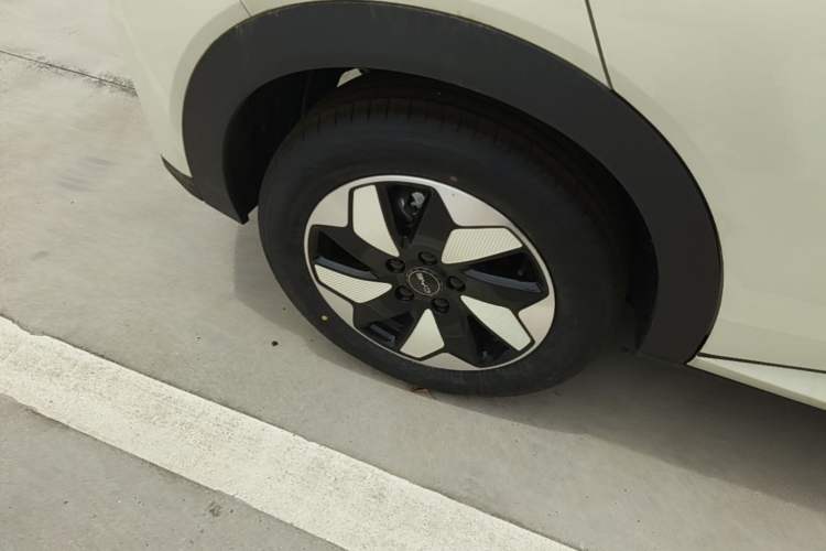 Used BYD Dolphin 2025 420km Free Edition Right Rear Wheel Hub