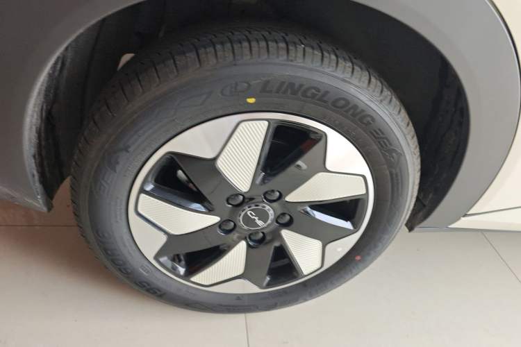 Used BYD Dolphin 2025 420km Free Edition Right Rear Wheel Hub