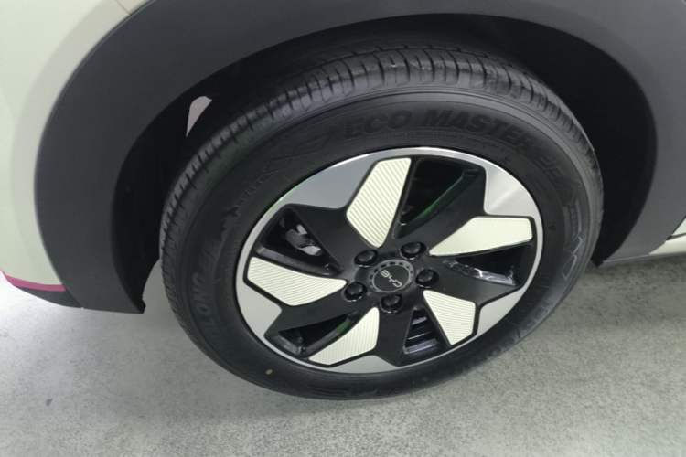 Used BYD Dolphin 2025 420km Fashion Edition Right Rear Wheel Hub