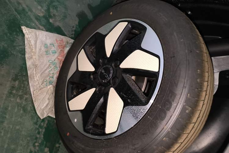Used BYD Dolphin 2025 420km Free Edition Right Rear Wheel Hub