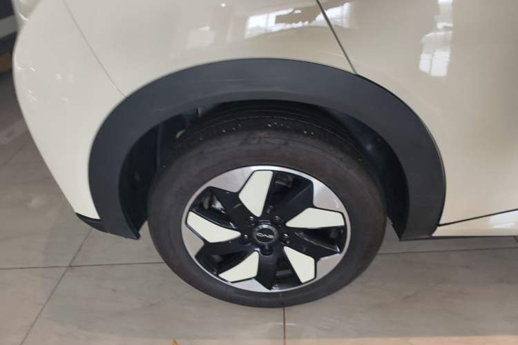 Used BYD Dolphin 2025 420km Free Edition Right Rear Wheel Hub