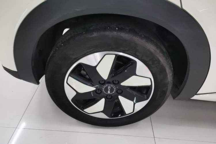 Used BYD Dolphin 2025 420km Free Edition Right Rear Wheel Hub