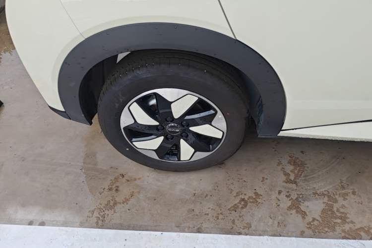Used BYD Dolphin 2025 420km Free Edition Right Rear Wheel Hub